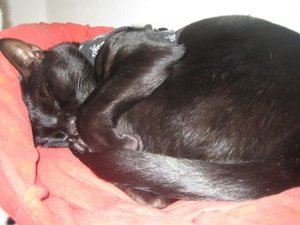 01.04.2009 A 006.jpg