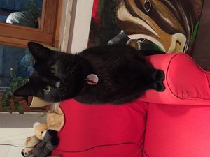 Datei 14.10.16, 18 28 29.jpeg