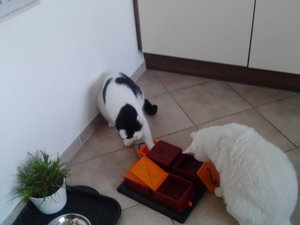 Handy 01.09.2015 217.jpg