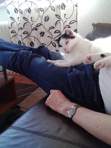 Handy 01.09.2015 032.jpg