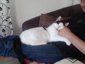 Handy 01.09.2015 234.jpg