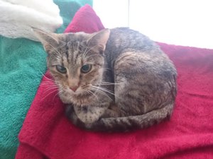 2016-11-02 11.23.38d.jpg