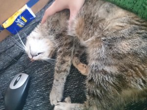 2016-11-02 12.02.14d.jpg