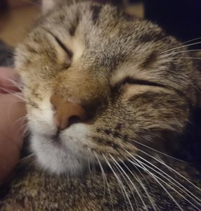 2016-10-30 19.42.10x.jpg