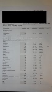 Laborwerte Xisco.jpg