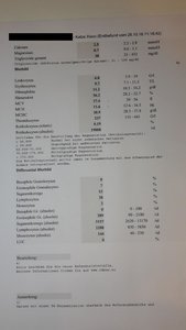 Laborwerte Xisco 2.jpg