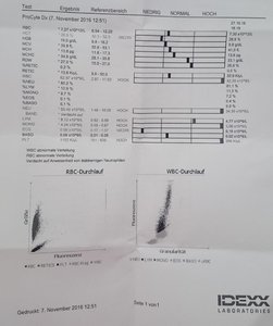 2016-11-10 13.25.45z.jpg