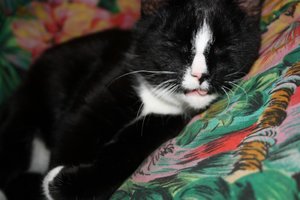 IMG_1451 [1600x1200].JPG