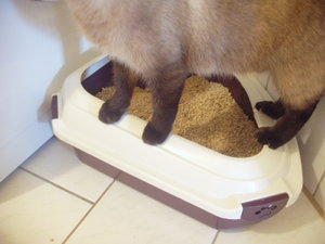 Toilettenordnung 005.jpg