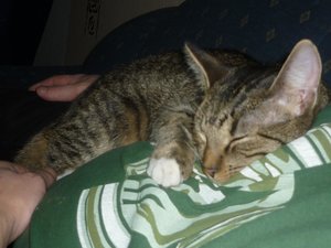 Und wiedermal ein Sonntag..... 014.jpg