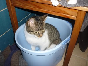 Und wiedermal ein Sonntag..... 016.jpg