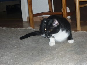 Und wiedermal ein Sonntag..... 024.jpg