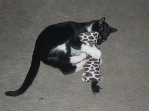 Und wiedermal ein Sonntag..... 035.jpg