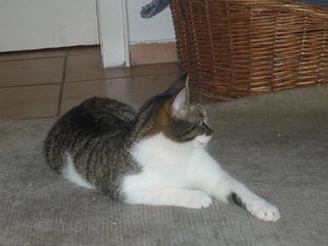 Und wiedermal ein Sonntag..... 029.jpg