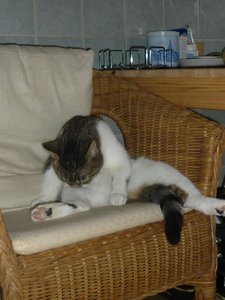 Ich war's nicht........ 008.jpg