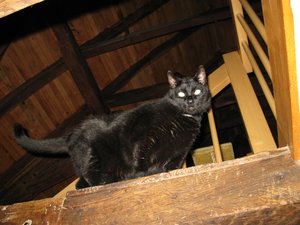 Kopie von IMG_0847.jpg