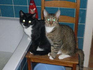 Badewannenparty 026.jpg Badewannenparty 026.jpg