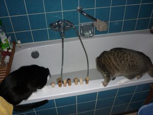 Badewannenparty 016.jpg Badewannenparty 016.jpg