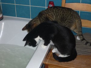 Badewannenparty 033.jpg Badewannenparty 033.jpg