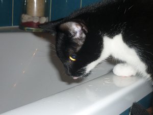 Badewannenparty 023.jpg Badewannenparty 023.jpg