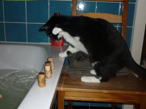 Badewannenparty 034.jpg Badewannenparty 034.jpg