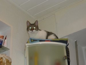 Badewannenparty 051.jpg Badewannenparty 051.jpg