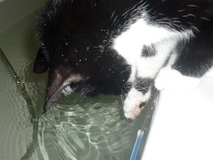 Badewannenparty 072.jpg Badewannenparty 072.jpg