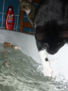 Badewannenparty 087.jpg Badewannenparty 087.jpg