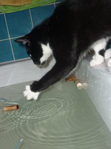 Badewannenparty 089.jpg Badewannenparty 089.jpg