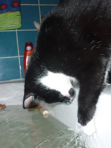 Badewannenparty 086.jpg Badewannenparty 086.jpg