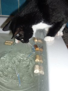 Badewannenparty 079.jpg Badewannenparty 079.jpg