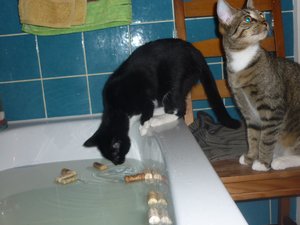 Badewannenparty 075.jpg Badewannenparty 075.jpg