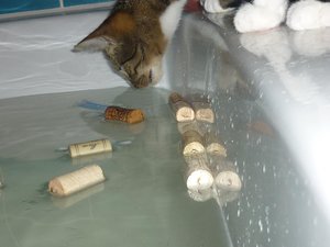 Badewannenparty 053.jpg Badewannenparty 053.jpg