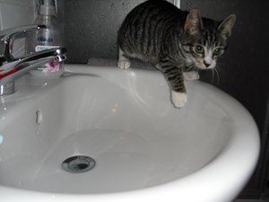 Cleo13.01.11 080.jpg