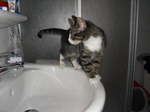 Cleo13.01.11 081.jpg