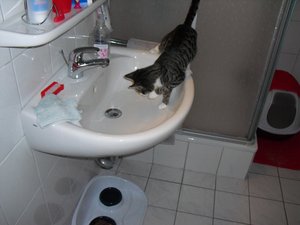 Cleo13.01.11 087.jpg