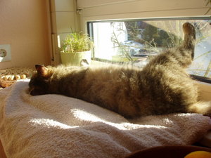 Und noch welche 029.jpg