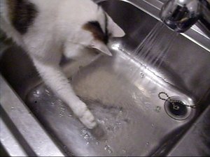 Wasserspiele Sonic_0001.jpg