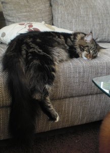 roefs_nanouk (14).jpg