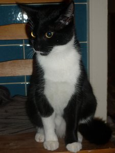 Badewannenparty 035.jpg