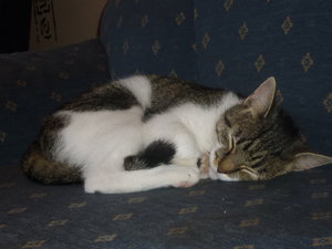 Sonntagsstimmung 011.jpg