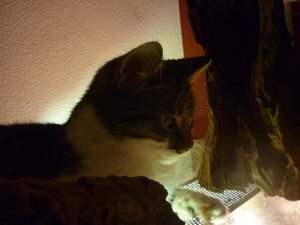 Und wiedermal ein Sonntag..... 004.jpg