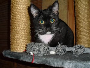 CleoPiaZusammenführung 005.jpg