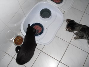 CleoPiaZusammenführung 010.jpg