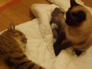 spielen auf Schmusedecke 017.jpg