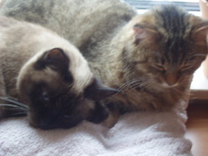 Und noch welche 026.jpg