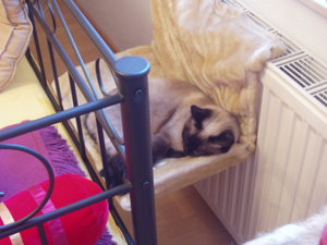 Murmelchen und Kastra 010.jpg