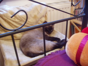 Murmelchen und Kastra 005.jpg