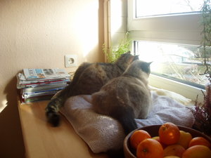 Murmelchen und Kastra 021.jpg