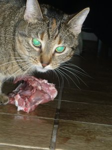 Besuch beim Quartett 032.jpg